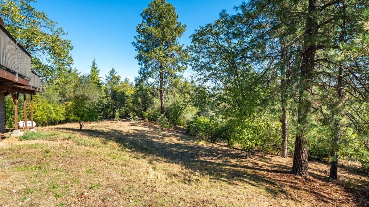 Photo of Outdoor in Redding