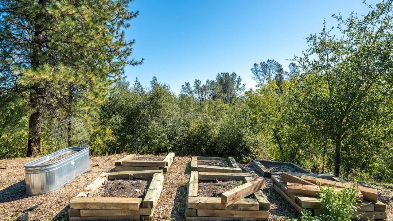 Photo of Others in Redding