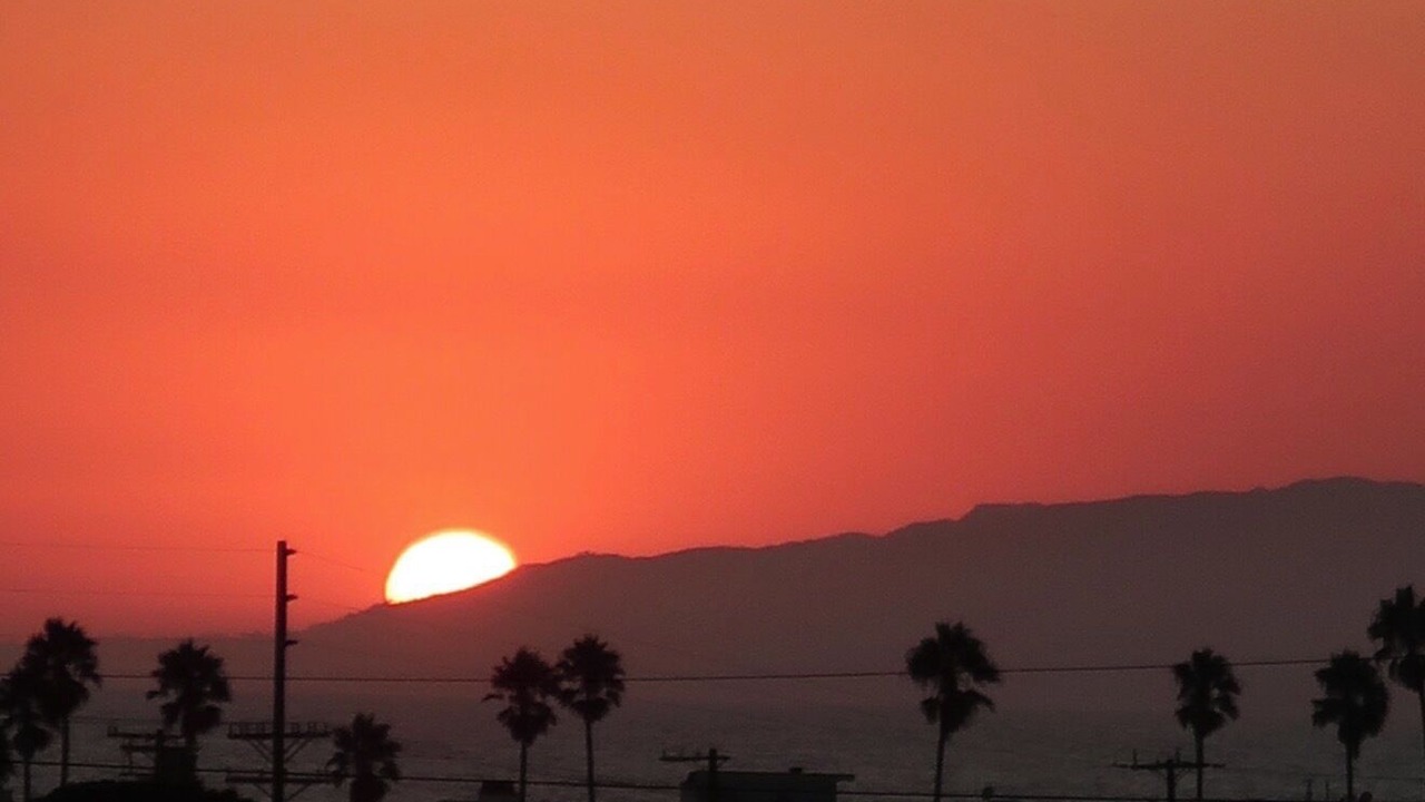 Photo of Others in Marina del Rey