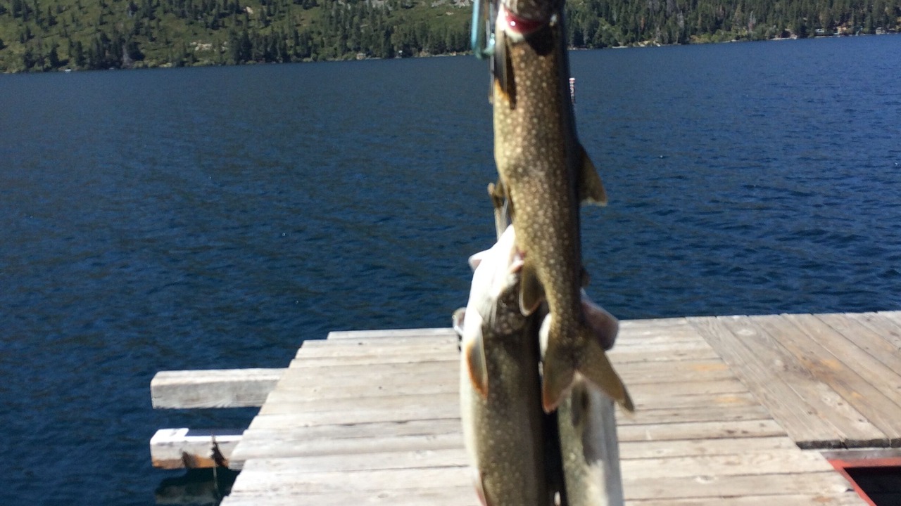 Photo of Others in South Lake Tahoe