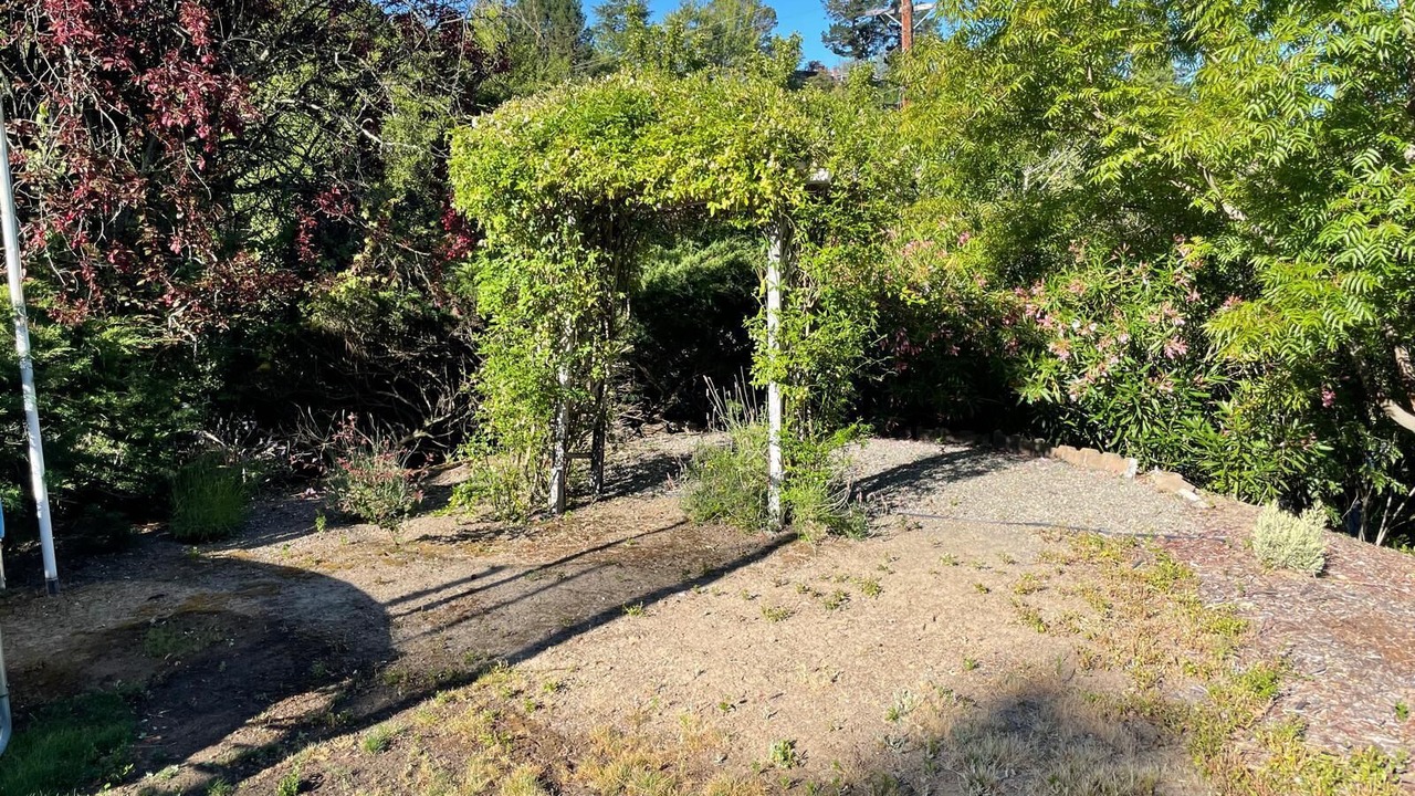 Photo of Outdoor in Monterey Ter