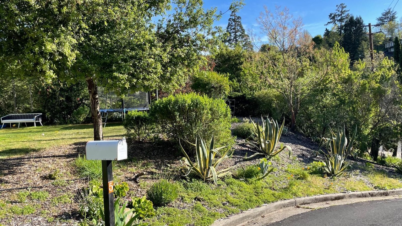 Photo of Outdoor in Monterey Ter