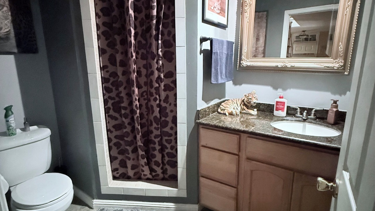 Photo of Bathroom in Wrightwood