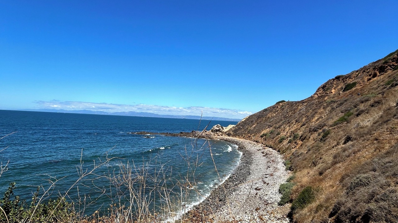Photo of Others in South Redondo