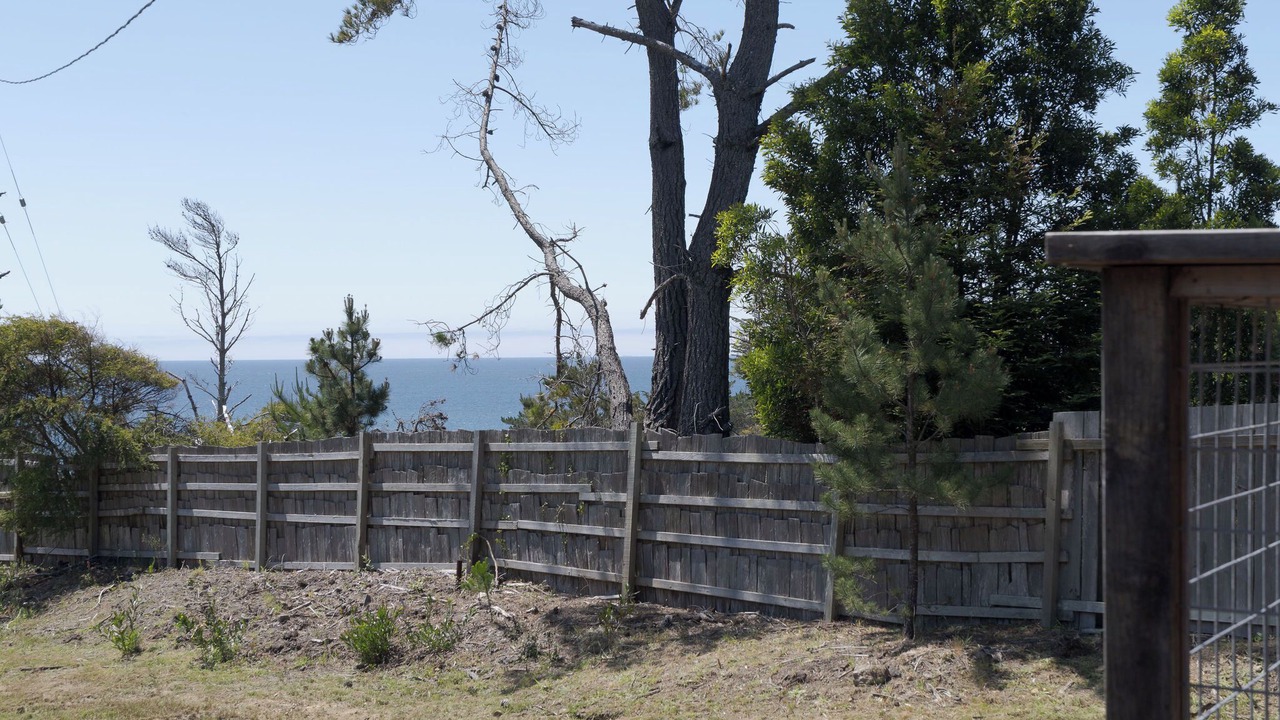 Photo of Outdoor in Gualala