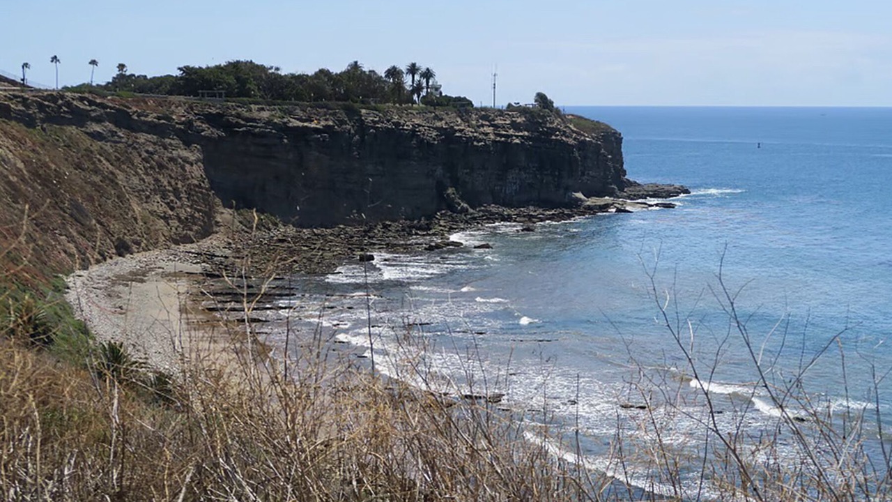 Photo of Others in Coastal San Pedro