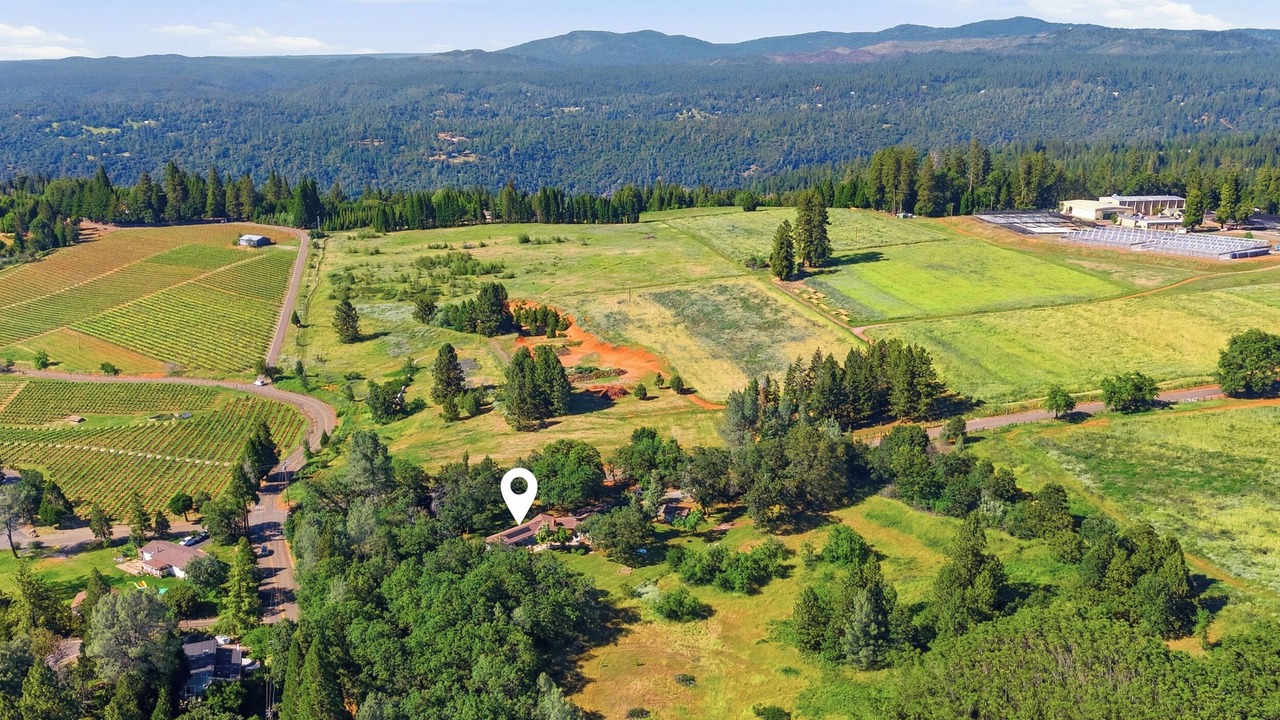 Photo of Outdoor in Apple Hill