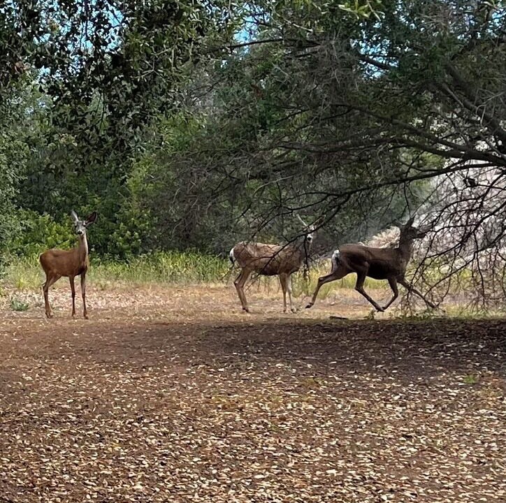 Photo of Others in Ramona