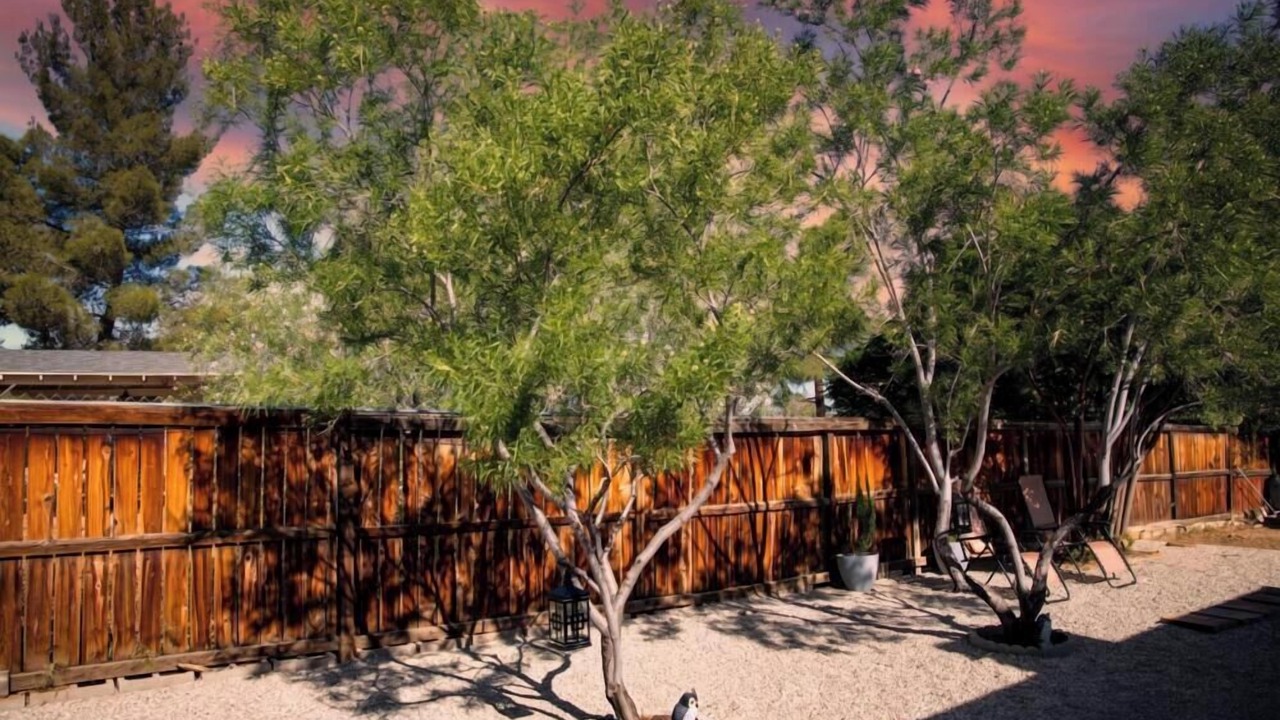 Photo of Outdoor in Pearblossom