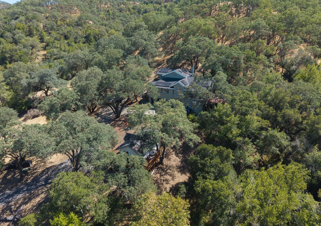 Photo of Outdoor in Walnut Creek