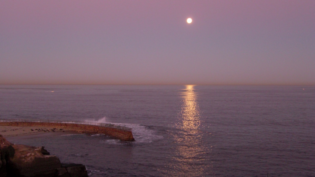 Photo of Others in Village of La Jolla
