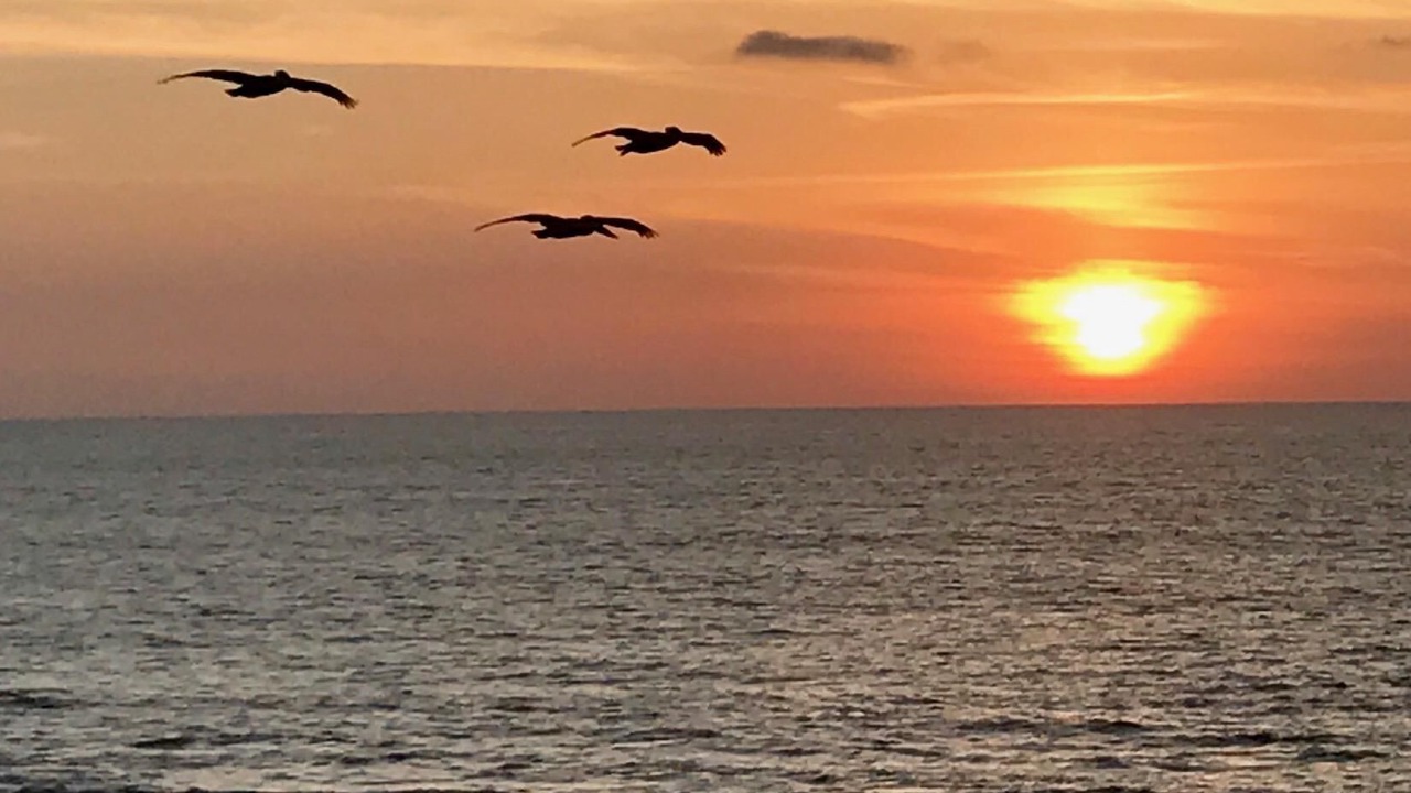 Photo of Others in Village of La Jolla