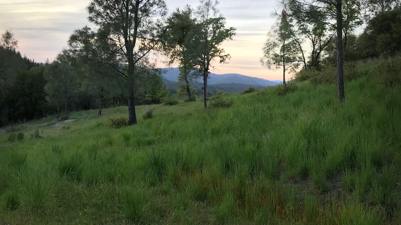 Photo of Others in Grass Valley