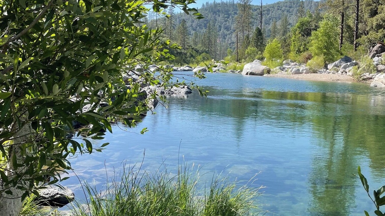 Photo of Others in Grass Valley