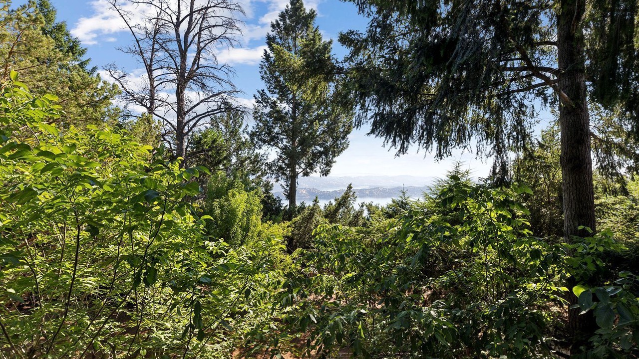 Photo of Others in Kelseyville