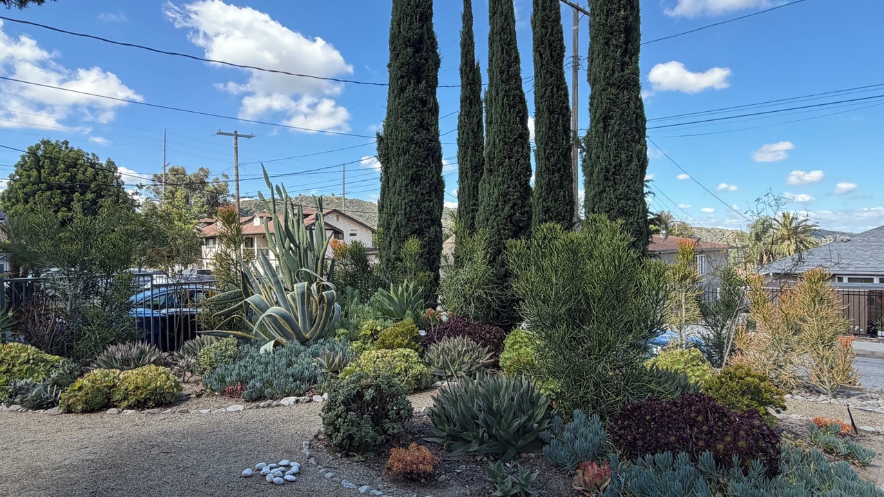Photo of Outdoor in Sunland-Tujunga