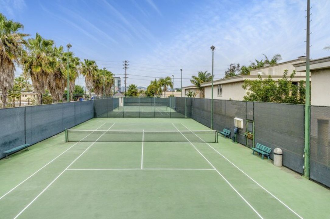 Photo of Others in Palms