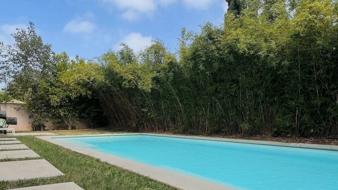 Photo of Outdoor in Reseda
