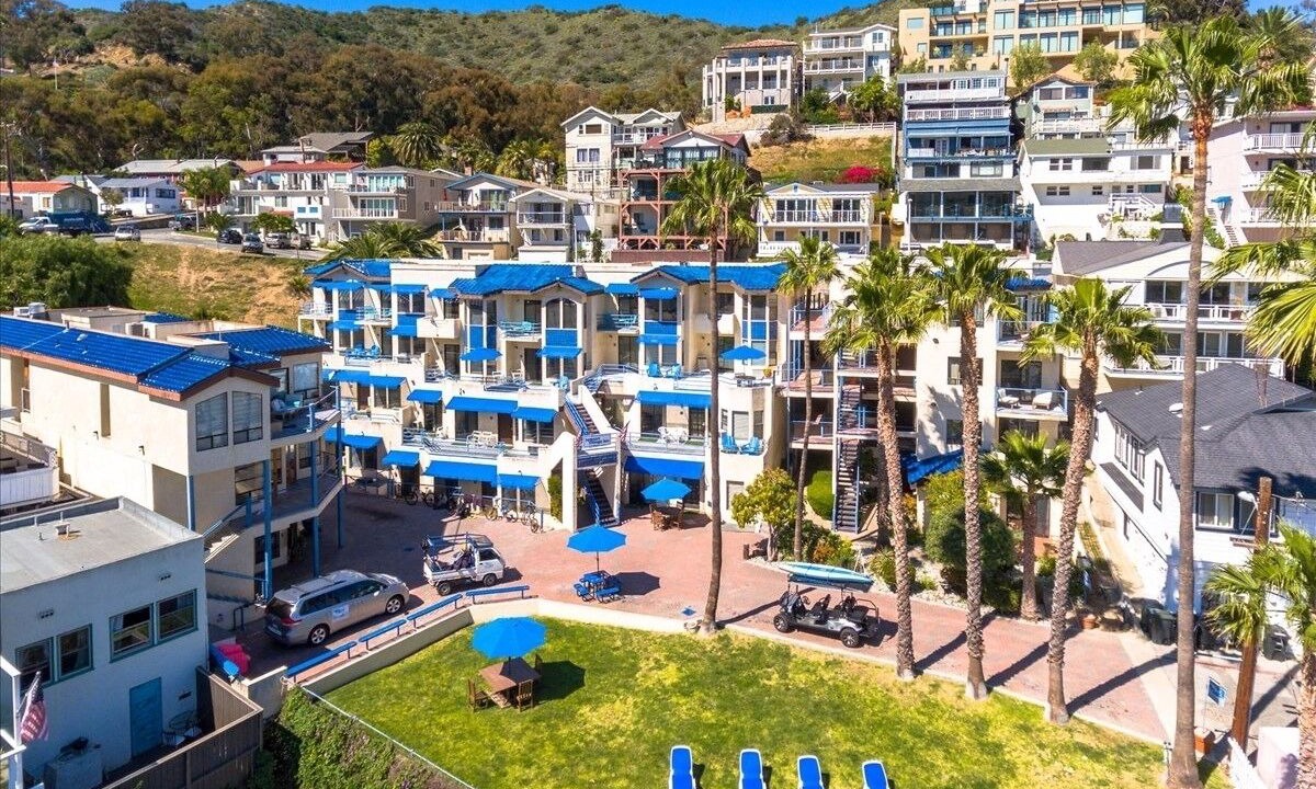 Photo of Others in Avalon