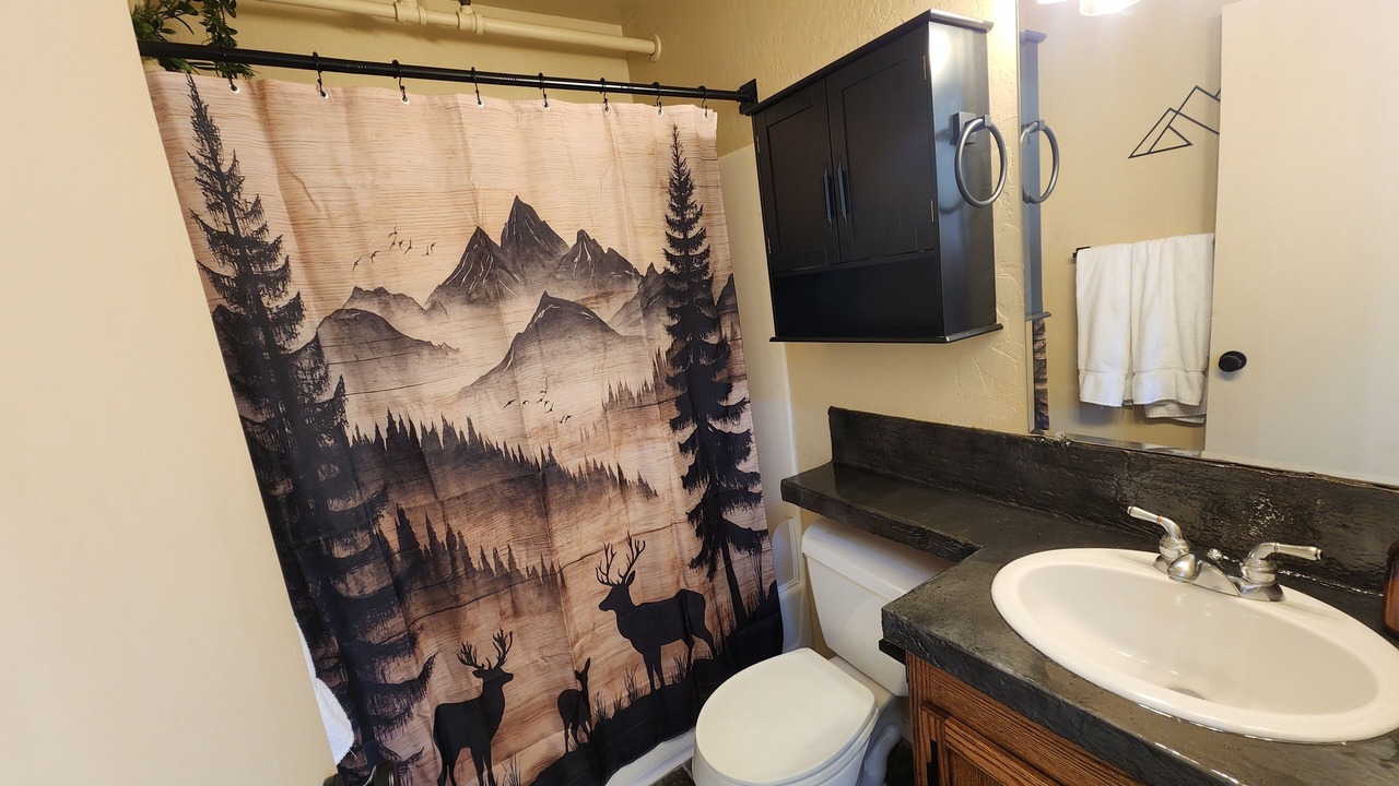 Photo of Bathroom in Tahoe Village