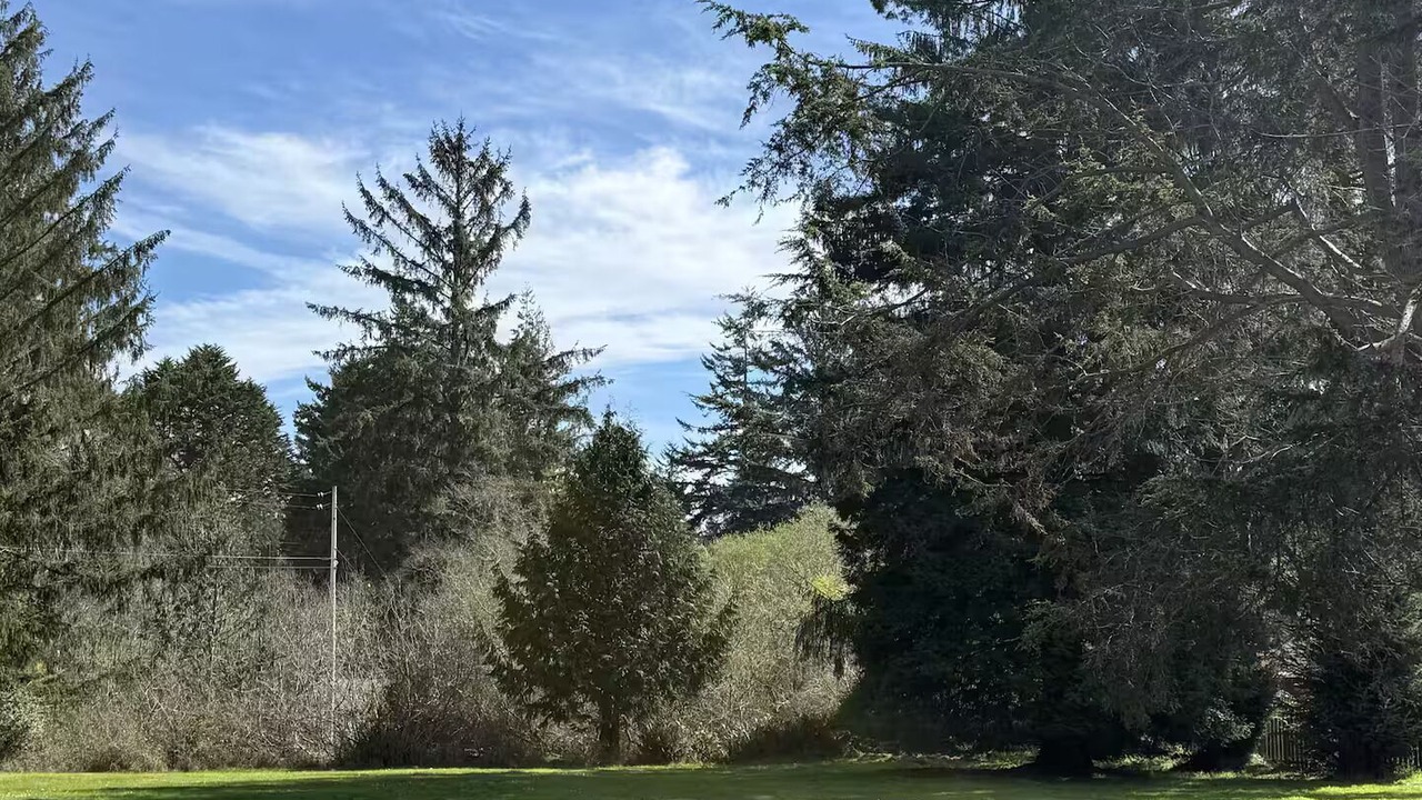 Photo of Others in McKinleyville
