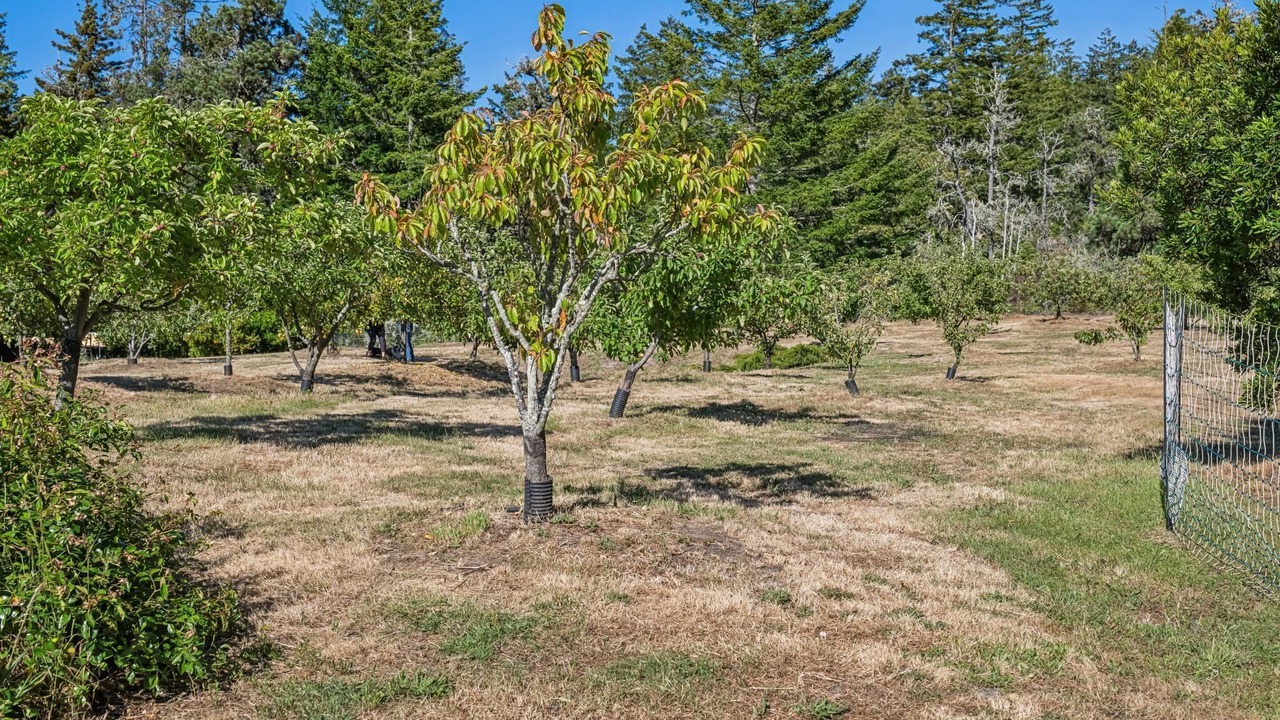 Photo of Outdoor in Gualala