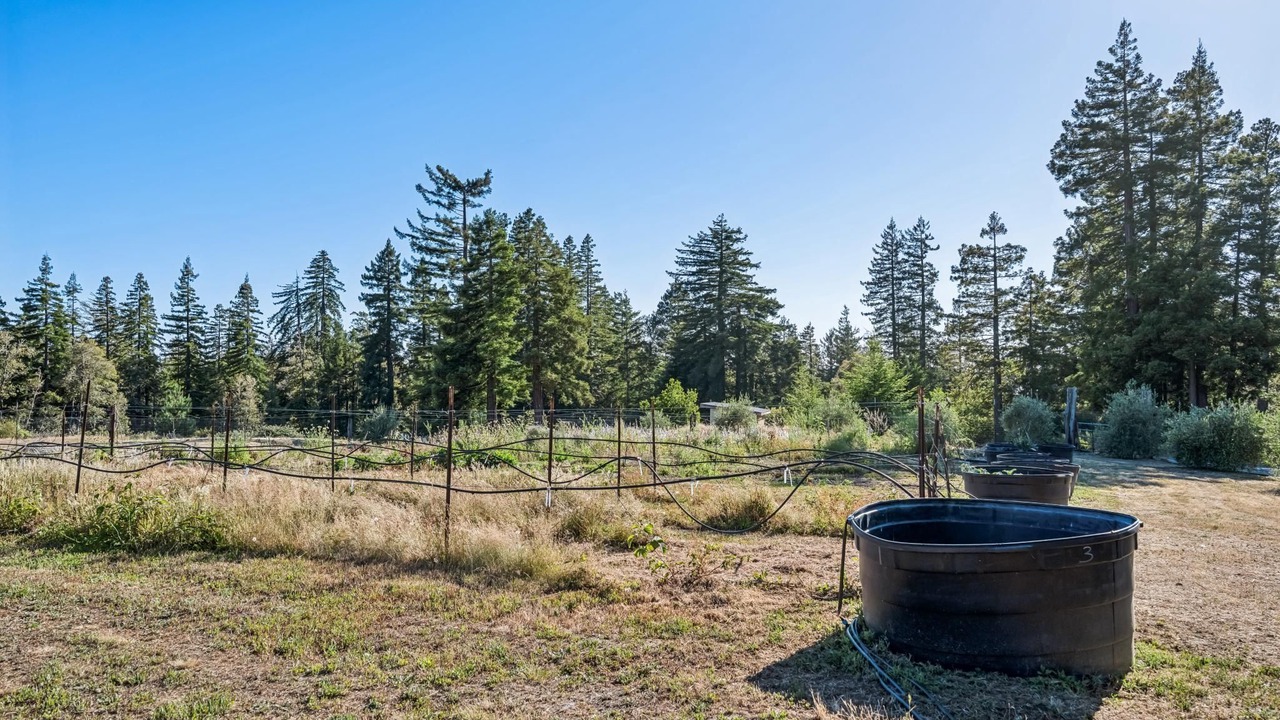 Photo of Outdoor in Gualala