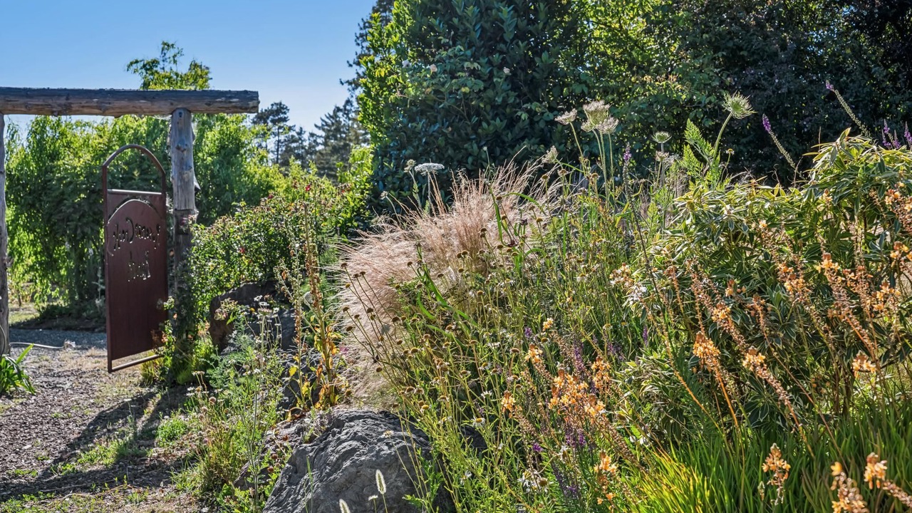 Photo of Outdoor in Gualala