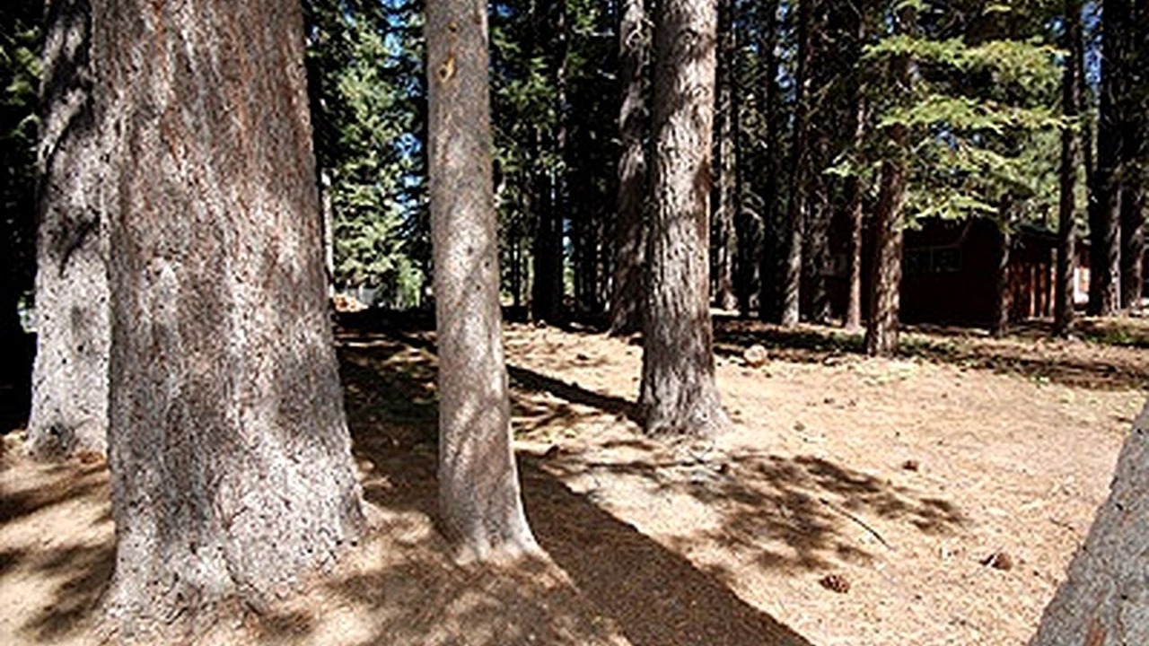 Photo of Outdoor in Tahoe Paradise