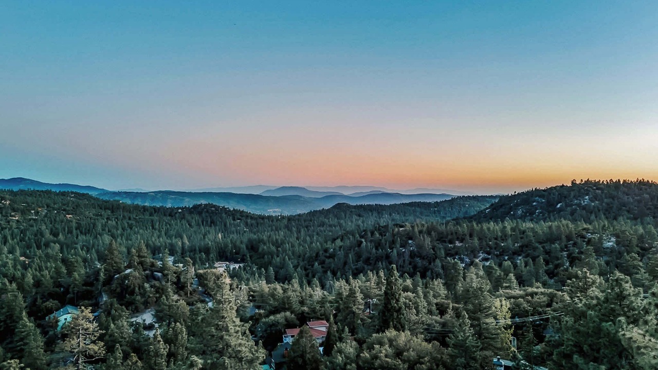 Photo of Others in Idyllwild
