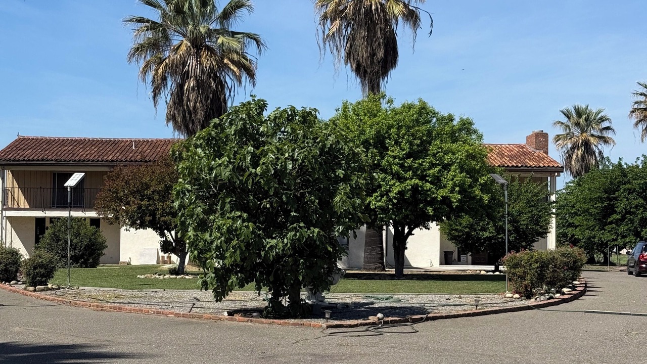 Photo of Outdoor in Williams