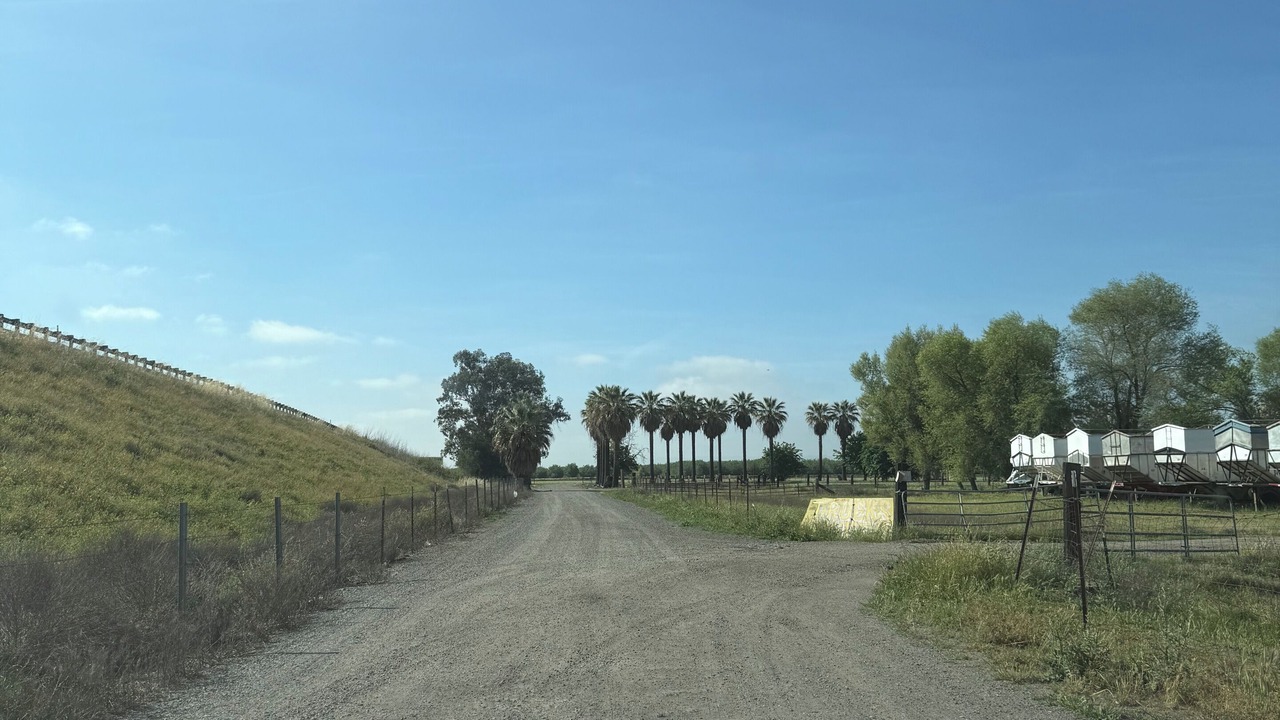 Photo of Others in Williams