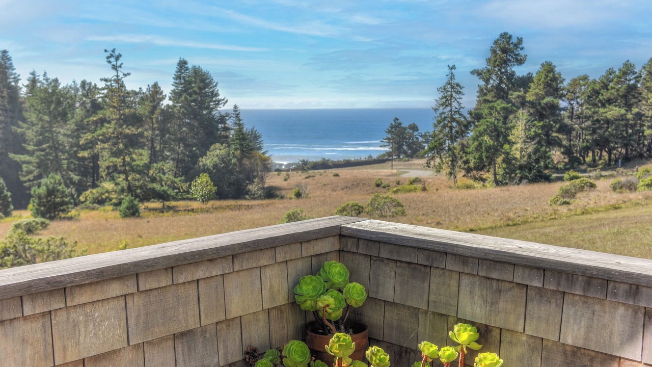 Photo of Others in Sea Ranch