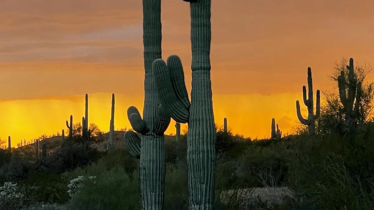 Photo of Outdoor in Phoenix