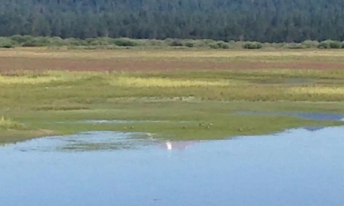 Photo of Others in Lake Almanor Country Club