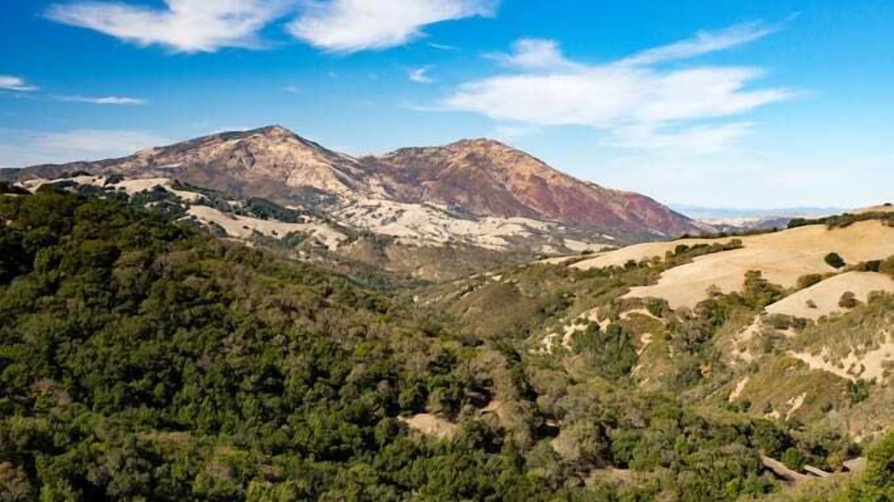 Photo of Others in San Ramon