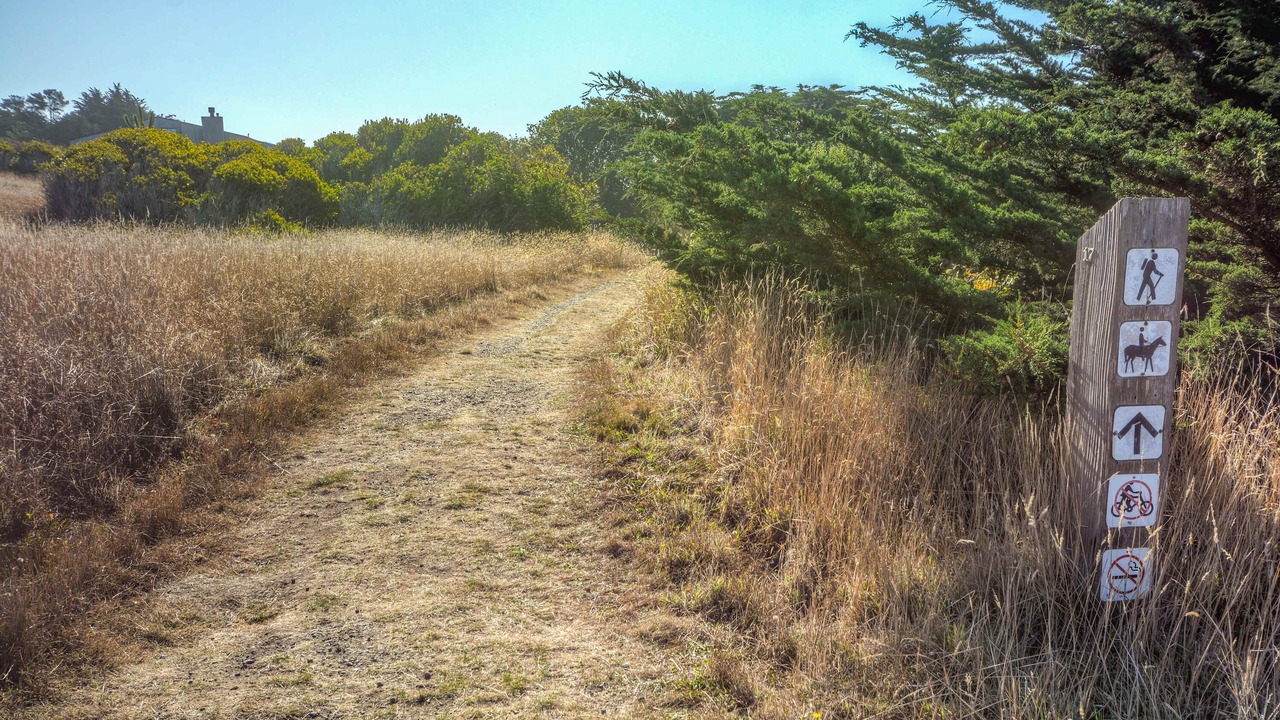 Photo of Outdoor in Sea Ranch