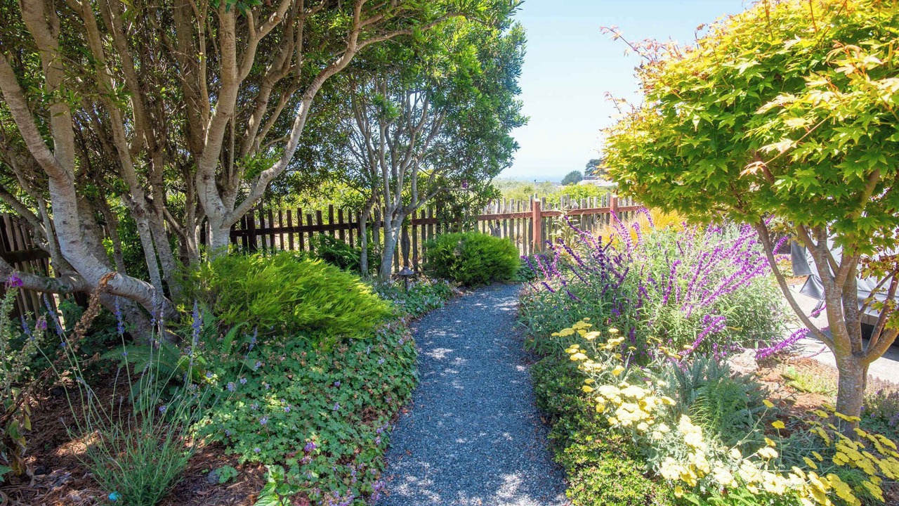 Photo of Outdoor in Sea Ranch