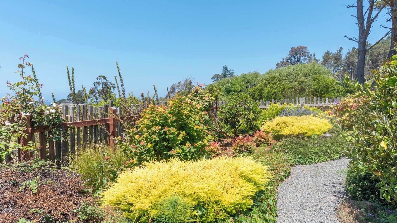 Photo of Outdoor in Sea Ranch