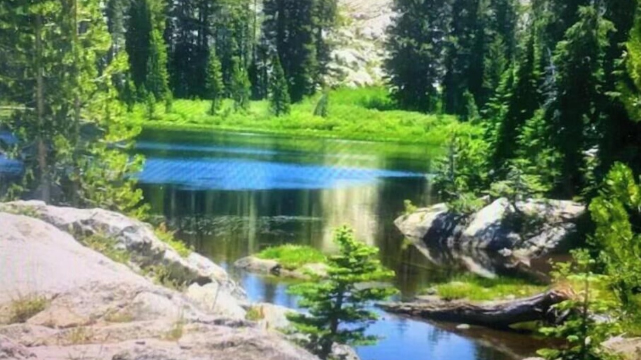 Photo of Others in Olympic Valley