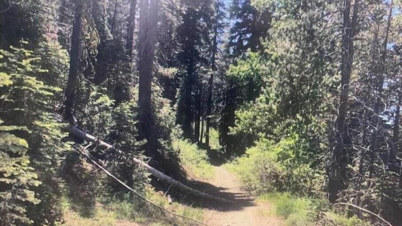 Photo of Outdoor in Olympic Valley