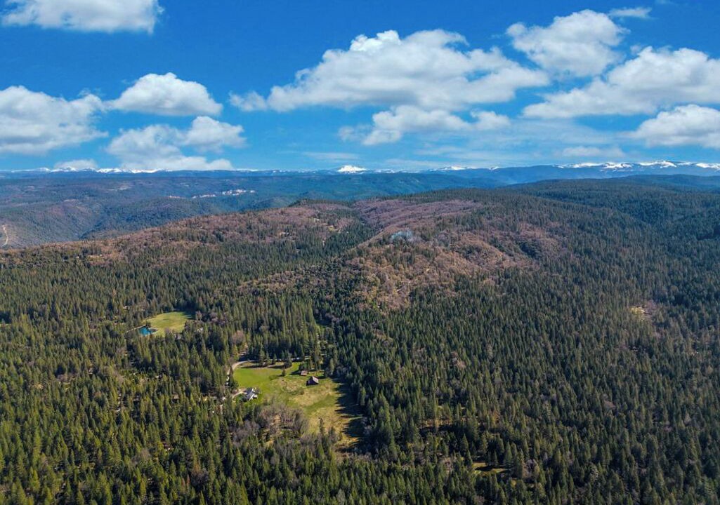 Photo of Others in Nevada City