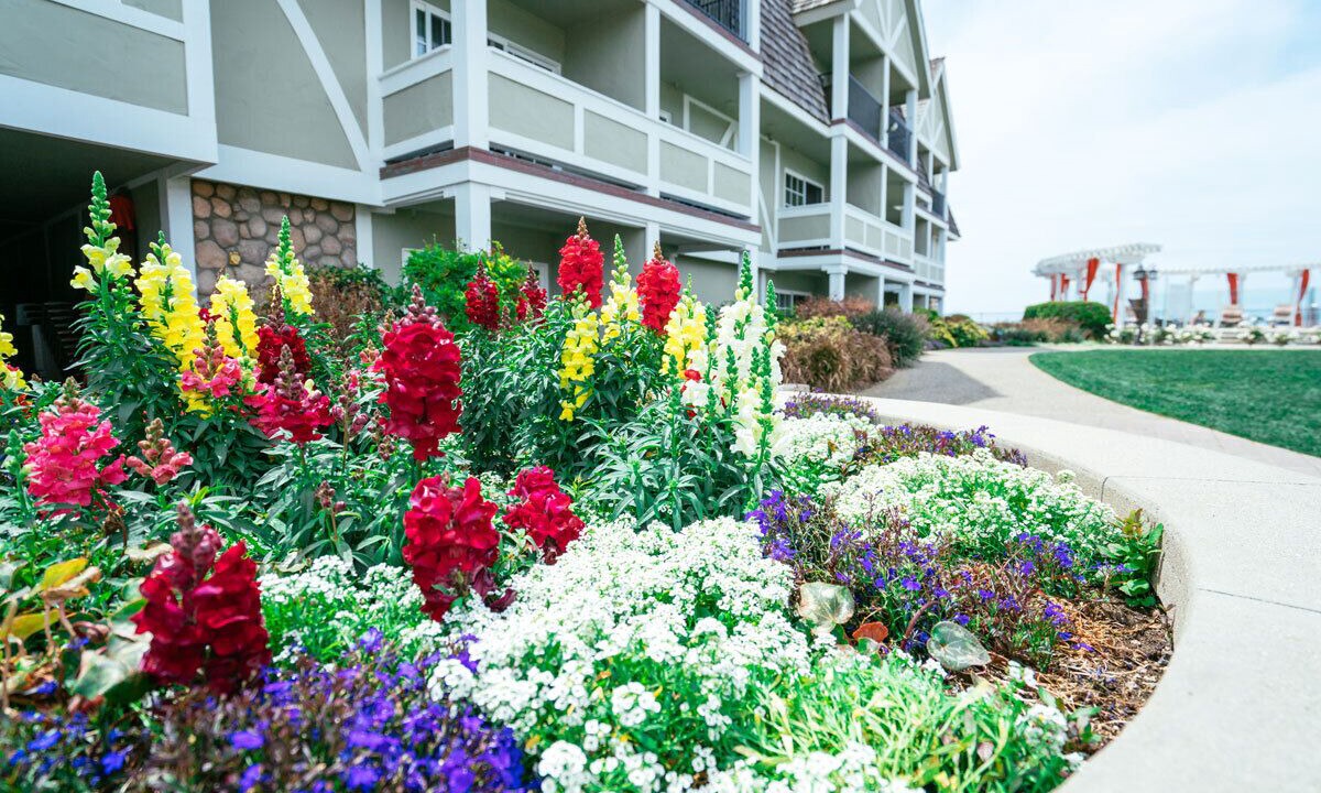 Photo of Outdoor in Carlsbad Village