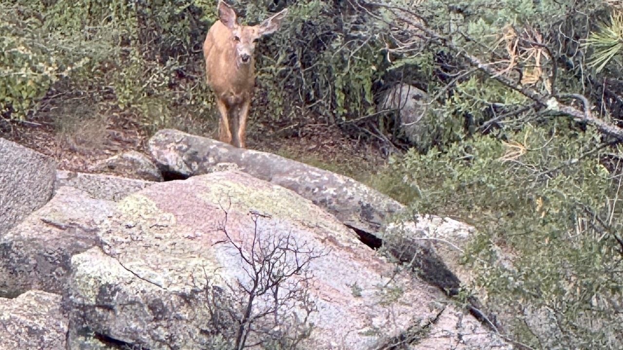 Photo of Outdoor in Prescott