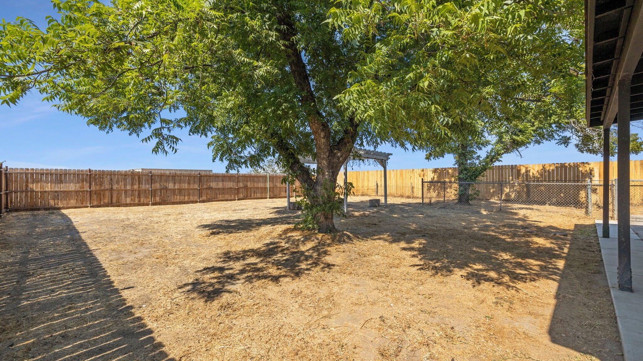 Photo of Outdoor in Pumpkin Center