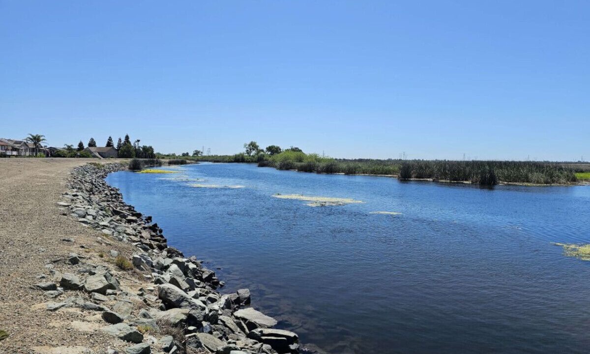 Photo of Others in Stockton