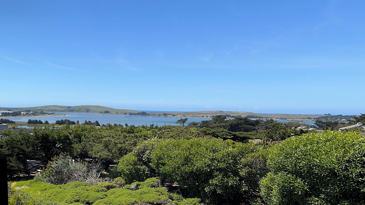 Photo of Others in Bodega Bay