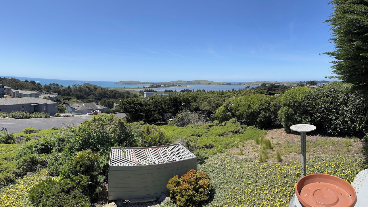 Photo of Others in Bodega Bay