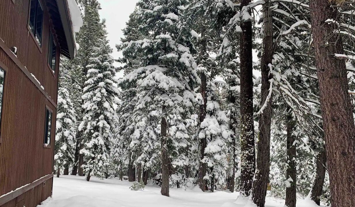 Photo of Others in Tahoe City