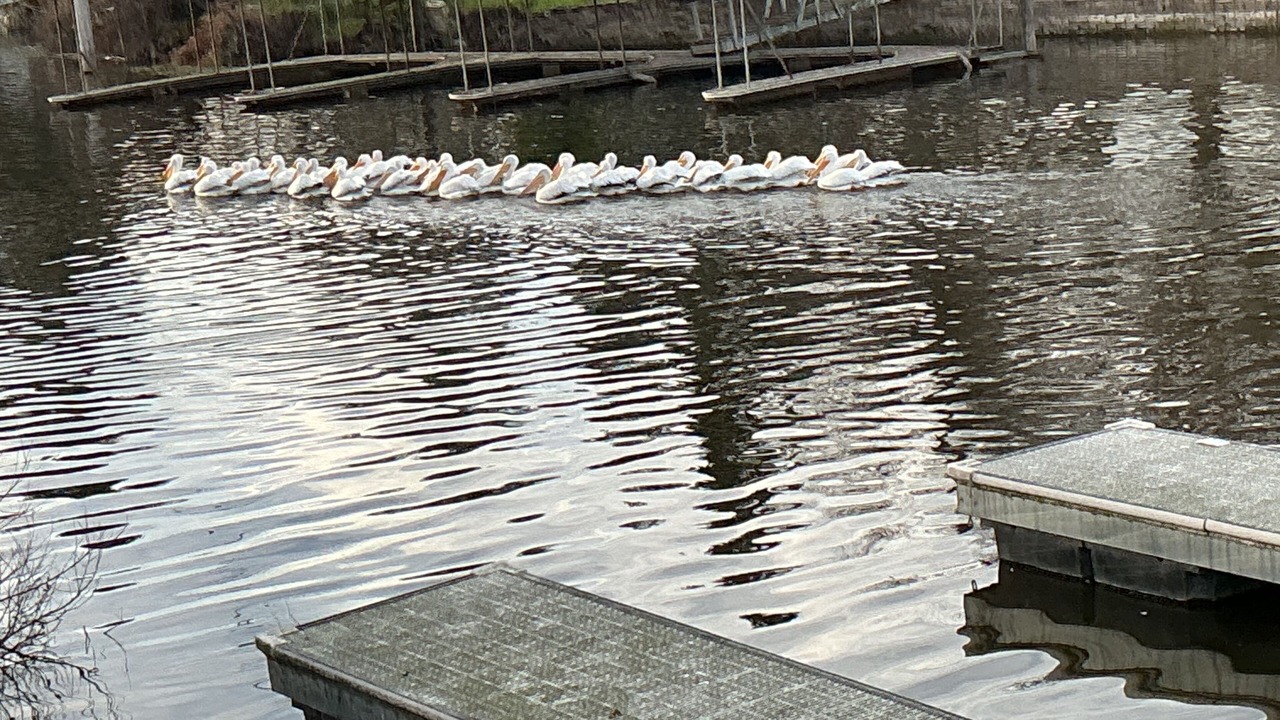 Photo of Others in Wilbur Springs